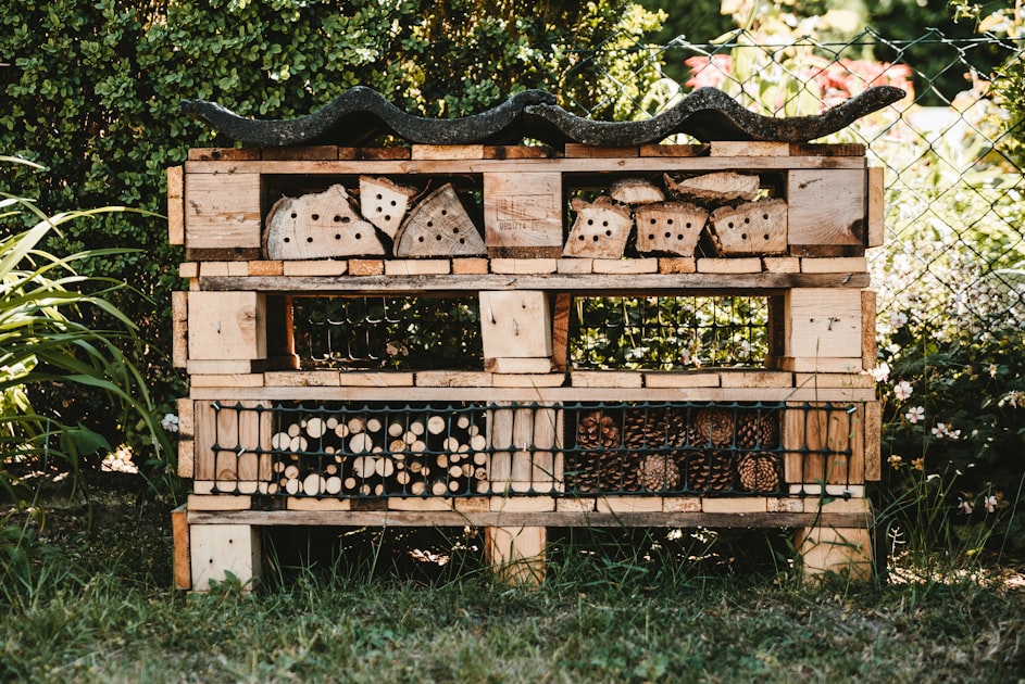 Understanding Common Pests in East Tennessee