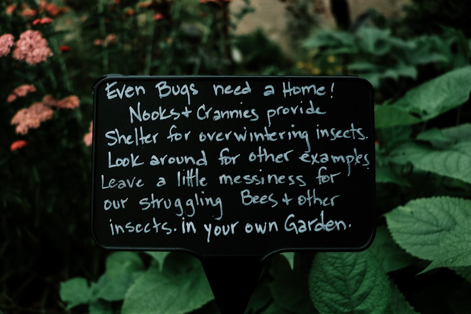 Effective Pest Control Tips for Homeowners
